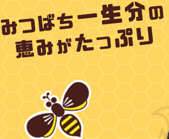 ローヤルトップ特設サイト